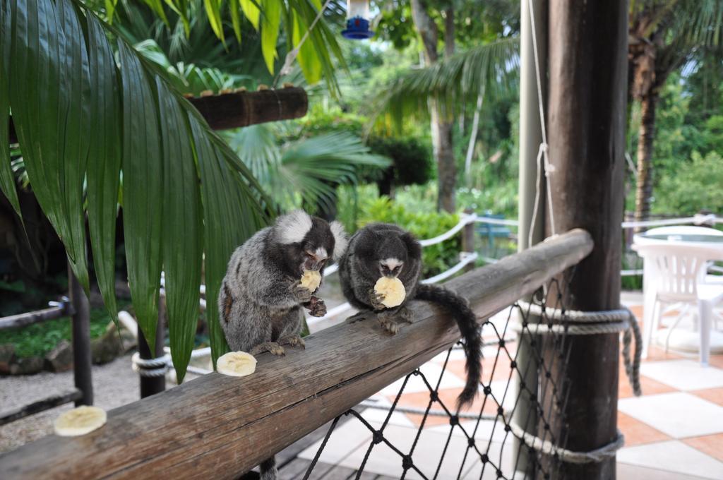 Pousada Aguas De Parati Bagian luar foto